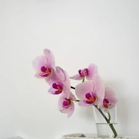 El Balcon De Triana Appartement